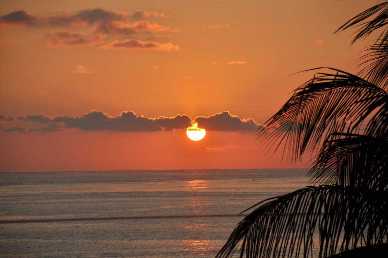 Ananda Guest House Yoga & Meditacion Puerto Escondido  Dış mekan fotoğraf